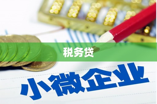 黄骅税务贷