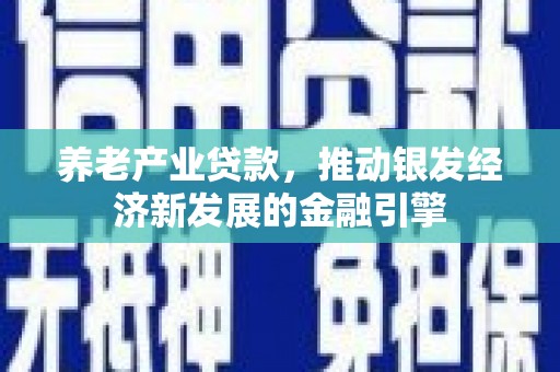 黄骅养老产业贷款，推动银发经济新发展的金融引擎