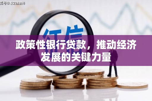 黄骅政策性银行贷款，推动经济发展的关键力量