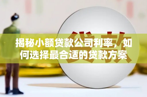 黄骅揭秘小额贷款公司利率，如何选择最合适的贷款方案