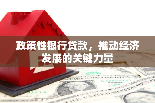 黄骅政策性银行贷款，推动经济发展的关键力量