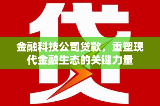黄骅金融科技公司贷款，重塑现代金融生态的关键力量