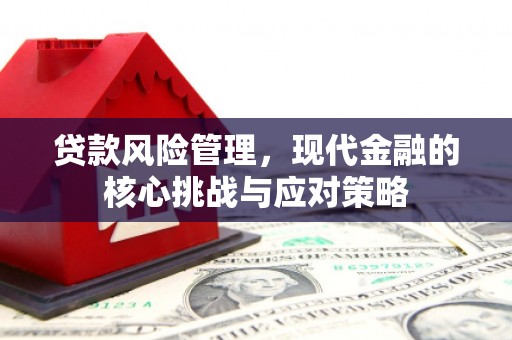黄骅贷款风险管理，现代金融的核心挑战与应对策略