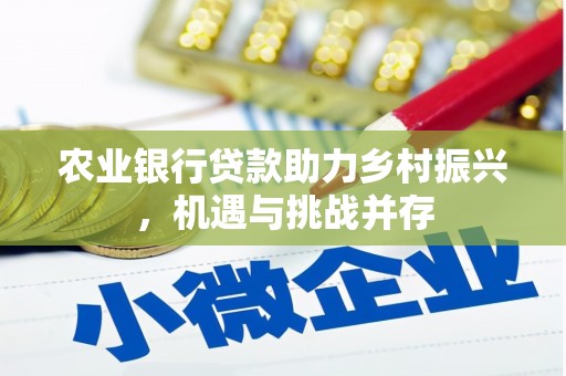 黄骅农业银行贷款助力乡村振兴，机遇与挑战并存