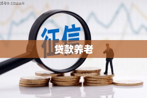 黄骅贷款养老