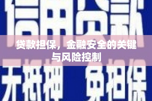 黄骅贷款担保，金融安全的关键与风险控制