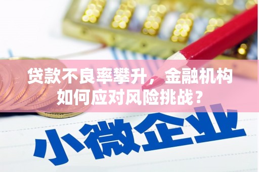 黄骅贷款不良率攀升，金融机构如何应对风险挑战？