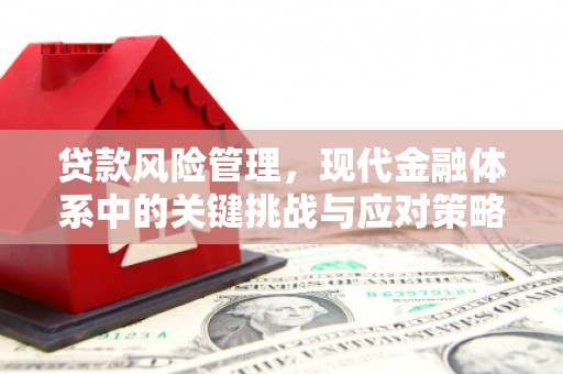 黄骅贷款风险管理，现代金融体系中的关键挑战与应对策略