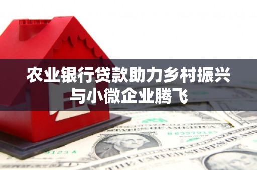 黄骅农业银行贷款助力乡村振兴与小微企业腾飞