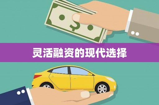 黄骅灵活融资的现代选择