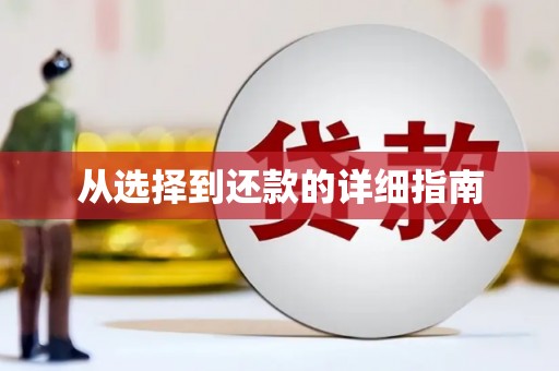 黄骅从选择到还款的详细指南