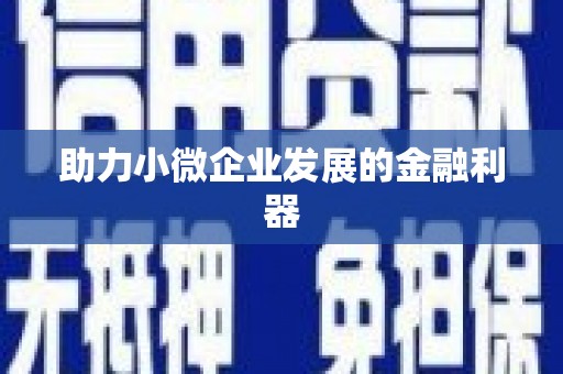 黄骅助力小微企业发展的金融利器