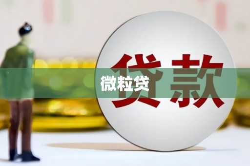 黄骅微粒贷