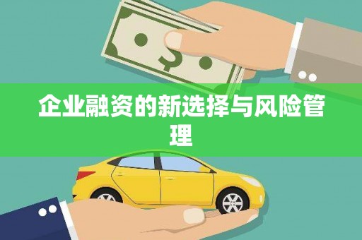 黄骅企业融资的新选择与风险管理