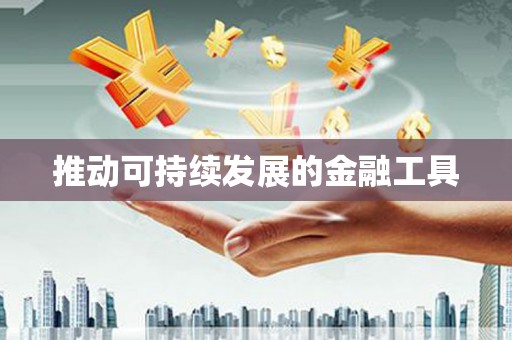 黄骅推动可持续发展的金融工具