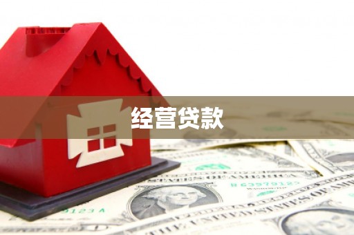 黄骅经营贷款