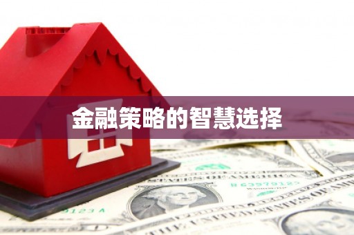 黄骅金融策略的智慧选择