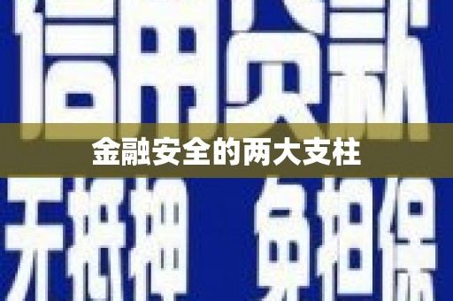 黄骅金融安全的两大支柱