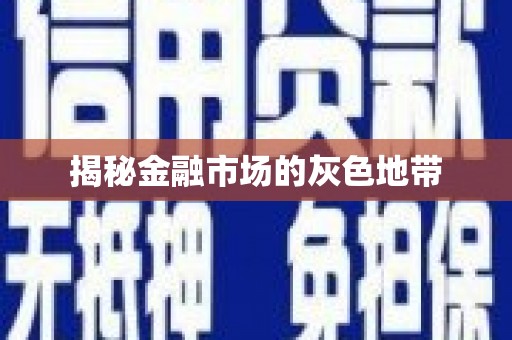 黄骅揭秘金融市场的灰色地带