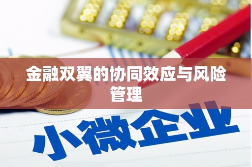黄骅金融双翼的协同效应与风险管理