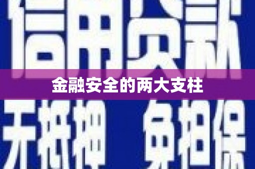 黄骅金融安全的两大支柱