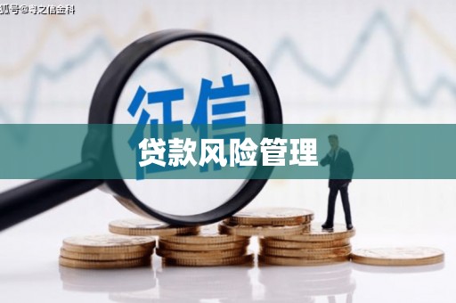 黄骅贷款风险管理