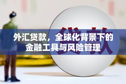 黄骅外汇贷款，全球化背景下的金融工具与风险管理