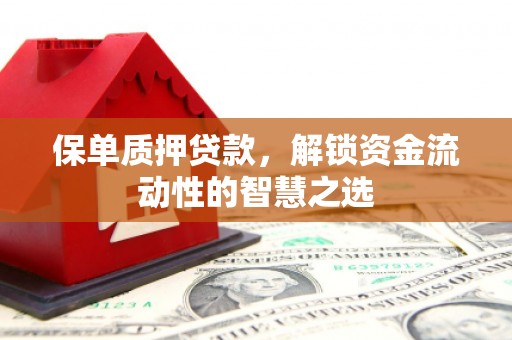 黄骅保单质押贷款，解锁资金流动性的智慧之选