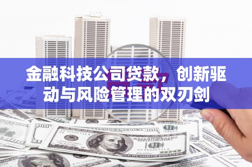 黄骅金融科技公司贷款，创新驱动与风险管理的双刃剑