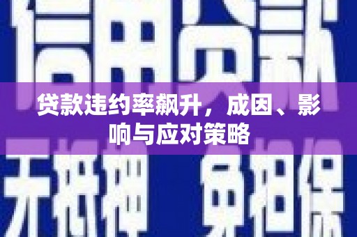 黄骅贷款违约率飙升，成因、影响与应对策略